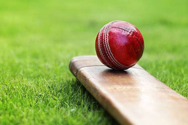 Plenty of rep and club cricket on last weekend