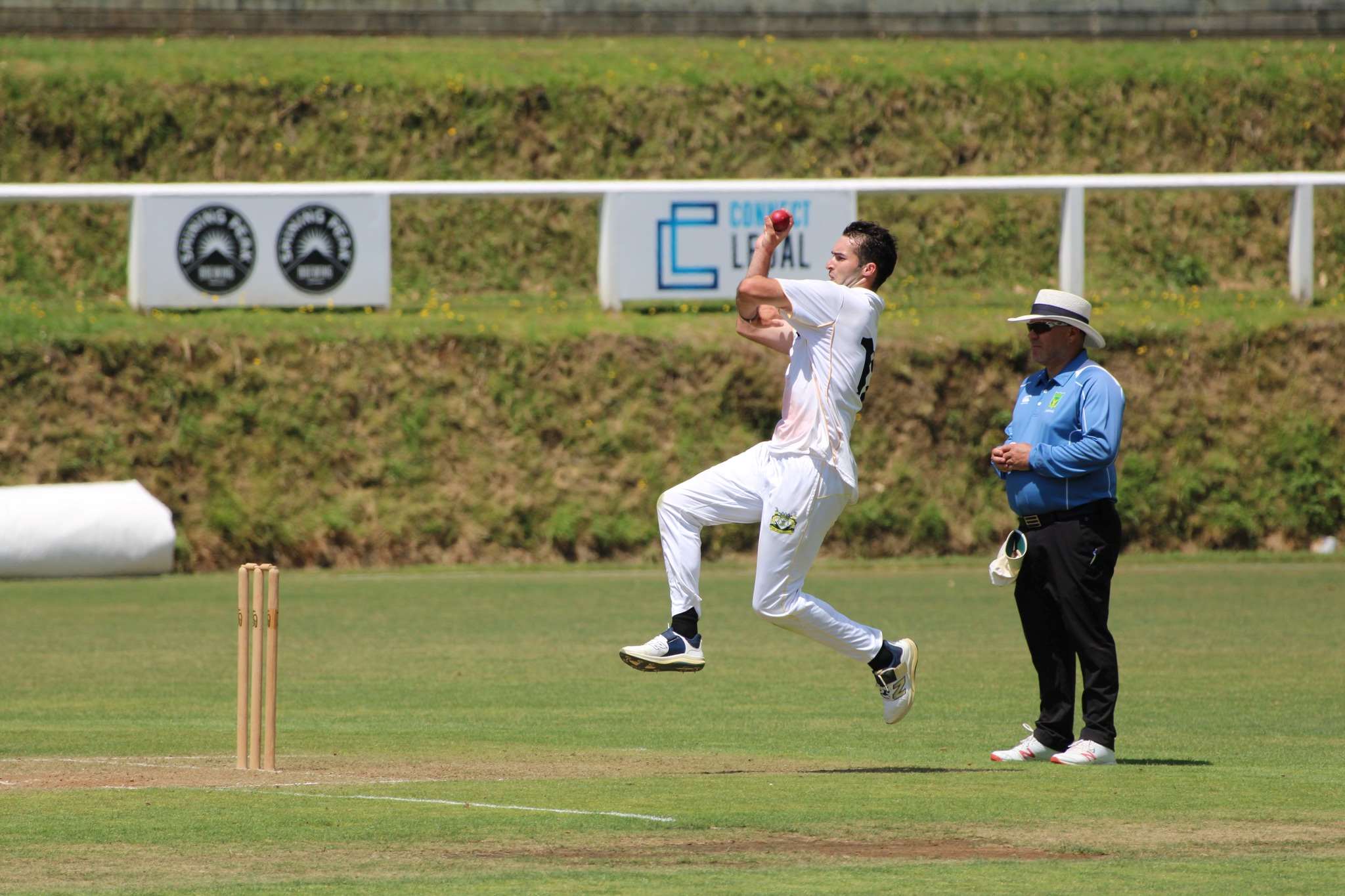 Cricket: Hawke Cup challenge starts today for Taranaki