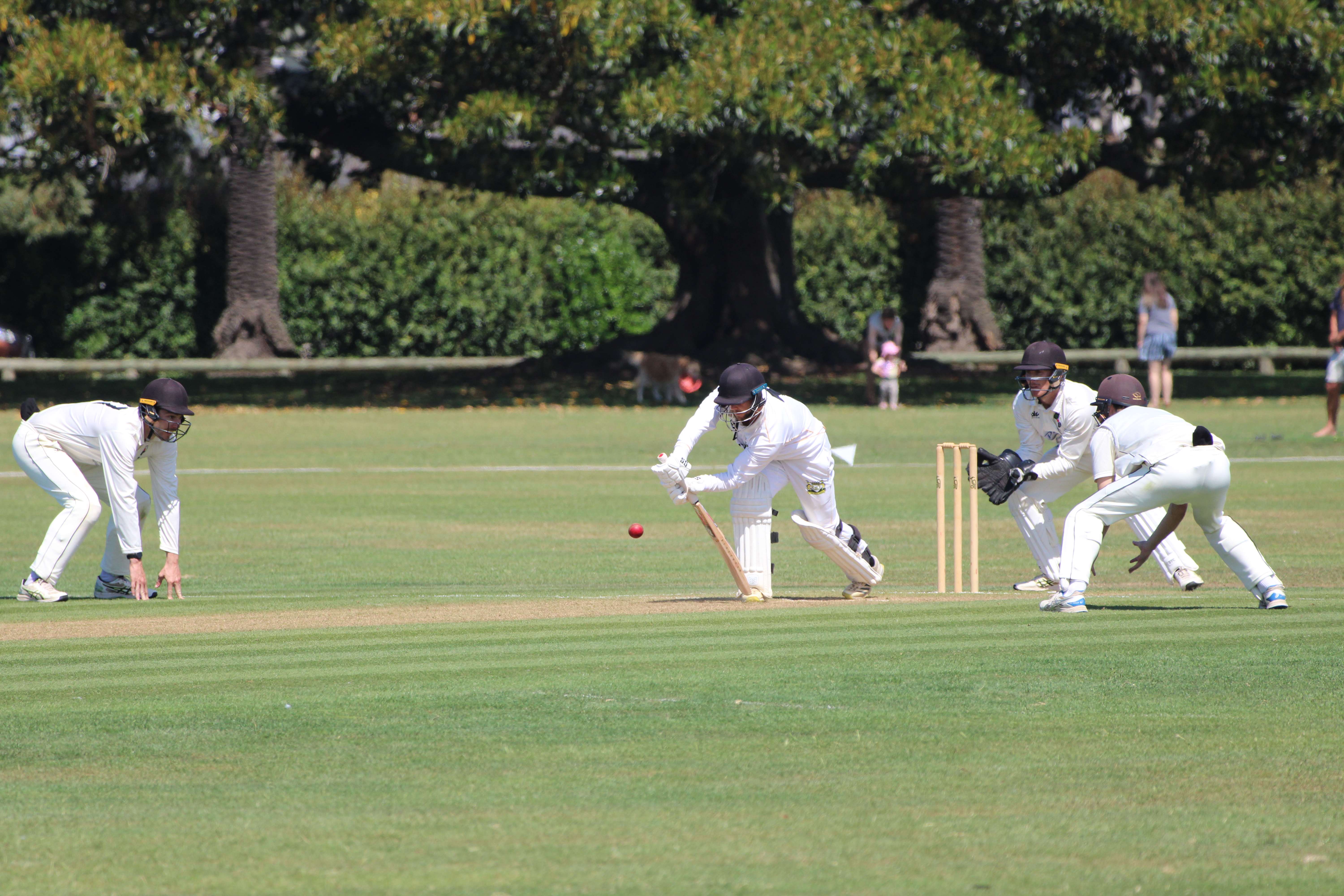 Cricket: Second Hawke Cup challenge for Taranaki