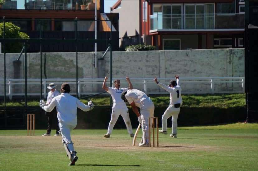 Cricket: A dramatic end to the Hawke Cup defence