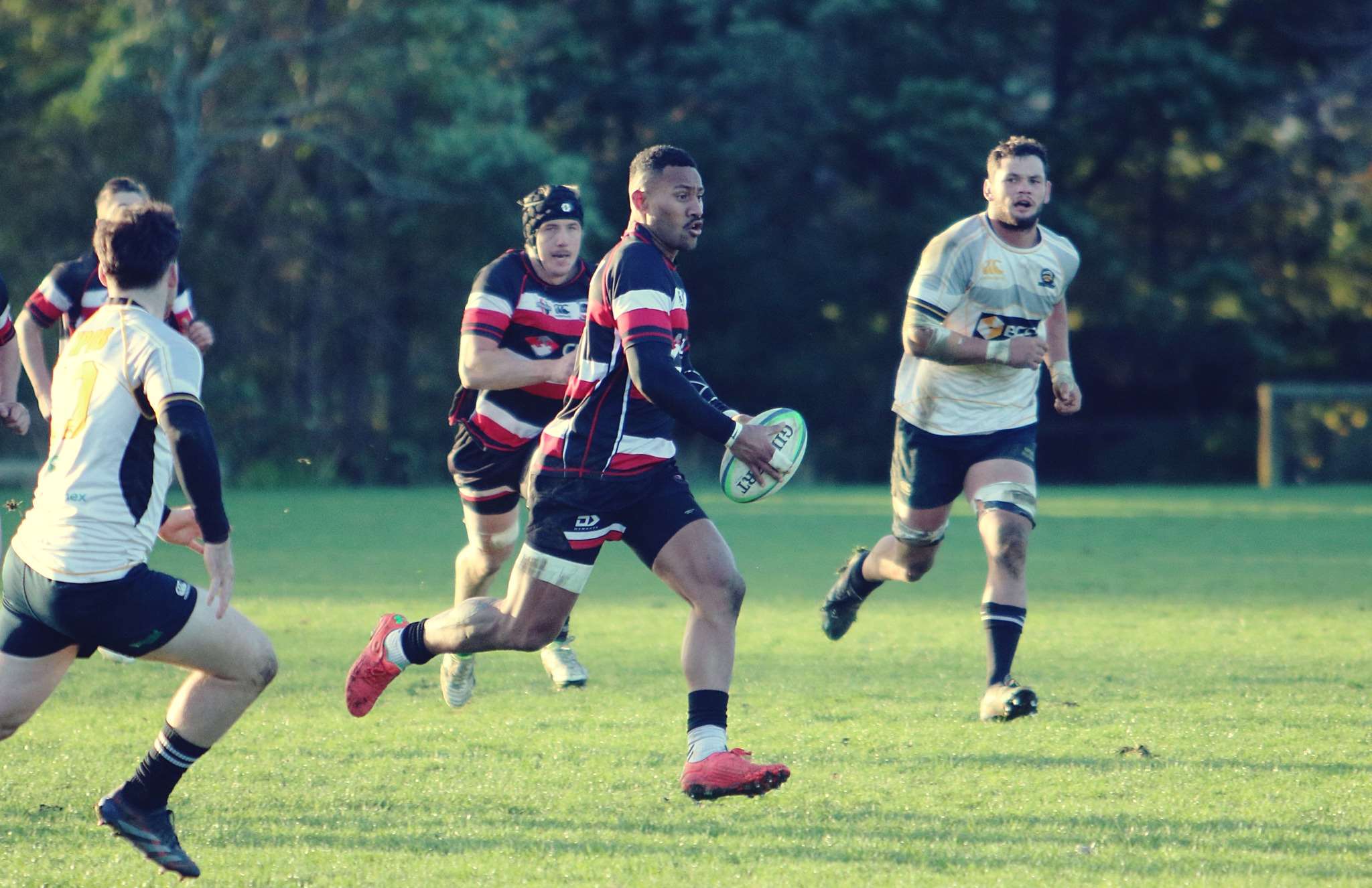 Rugby: Five tries to Stratford-Eltham speedster